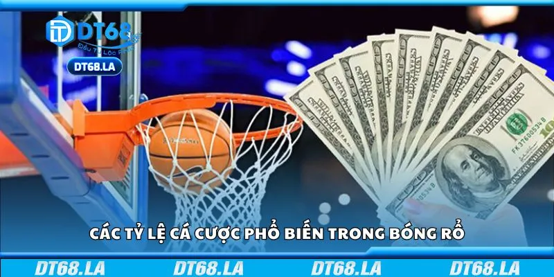 Các tỷ lệ cá cược phổ biến trong bóng rổ